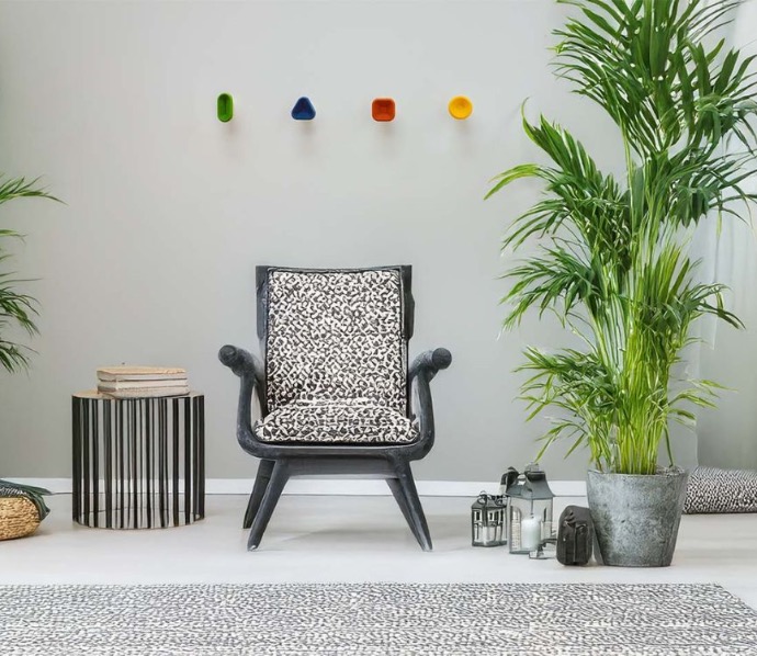 Patères murales géométriques colorées installées dans un salon au décor végétal.